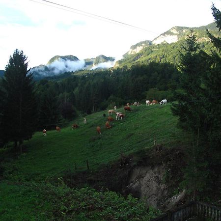 Holiday Home Bela Bohinjska Bela Zewnętrze zdjęcie