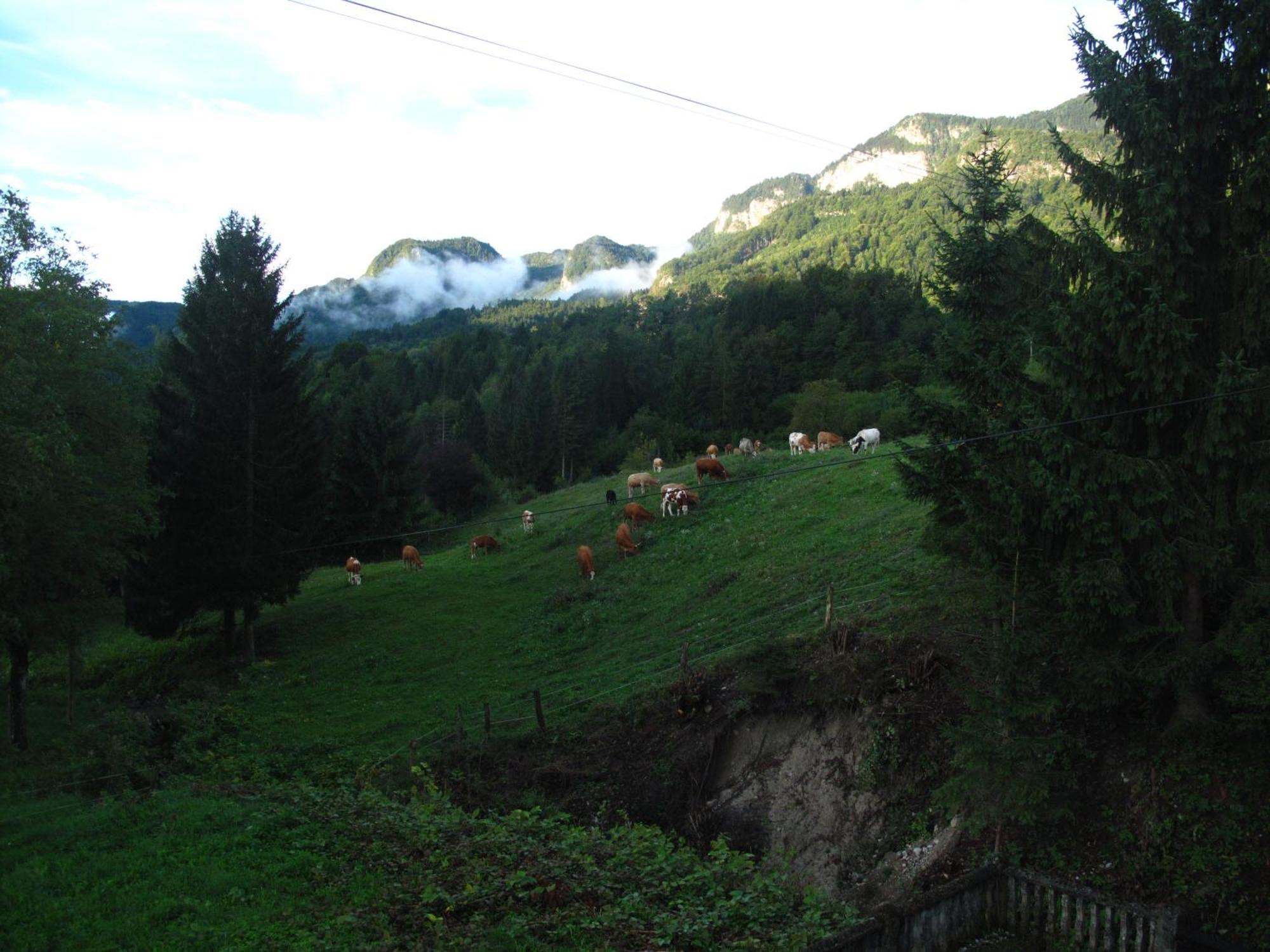 Holiday Home Bela Bohinjska Bela Zewnętrze zdjęcie